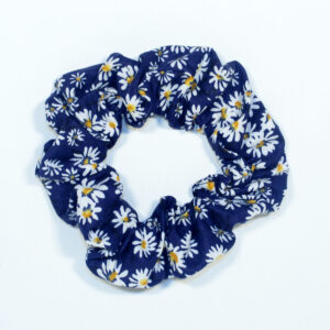 Blue Daisies